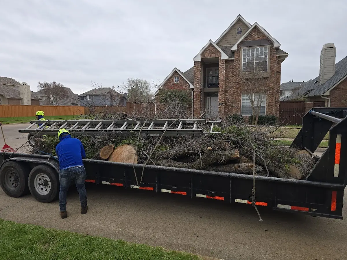 Expert Tree Fertilization with proper safety equipment in Hazen
